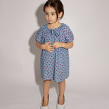 Stevie Dress - Denim Star
