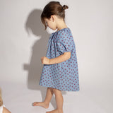 Stevie Dress - Denim Star