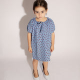 Stevie Dress - Denim Star