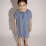 Stevie Dress - Denim Star