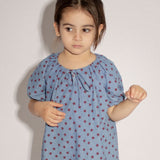 Stevie Dress - Denim Star