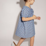 Stevie Dress - Denim Star
