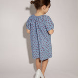 Stevie Dress - Denim Star